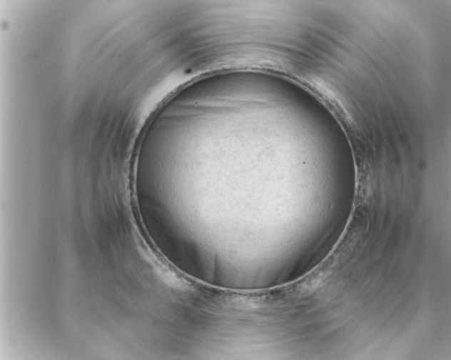 X0000088581086200706011107