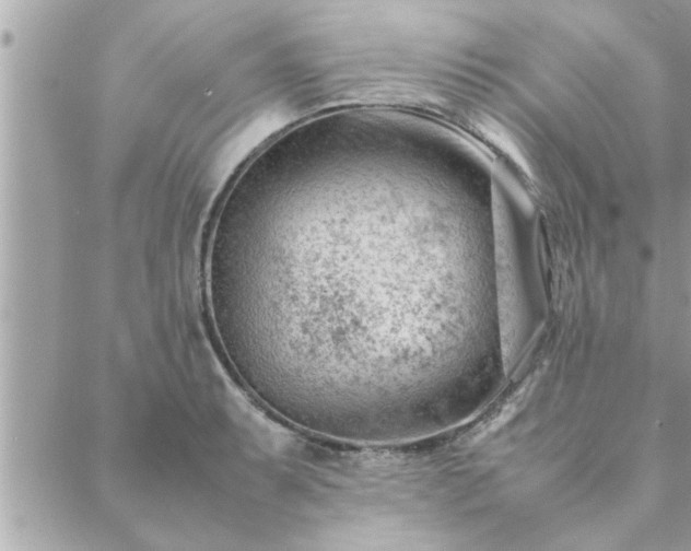 X0000088581087200706011107