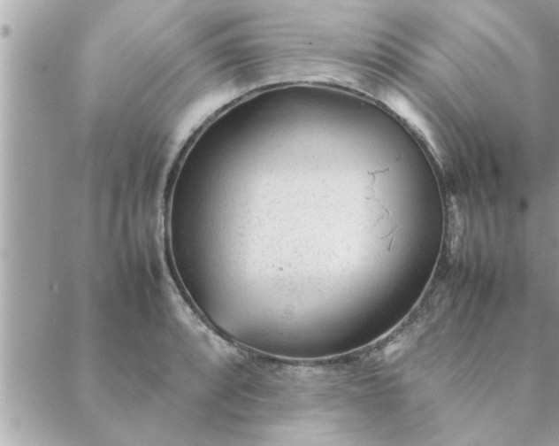 X0000088581088200706011107