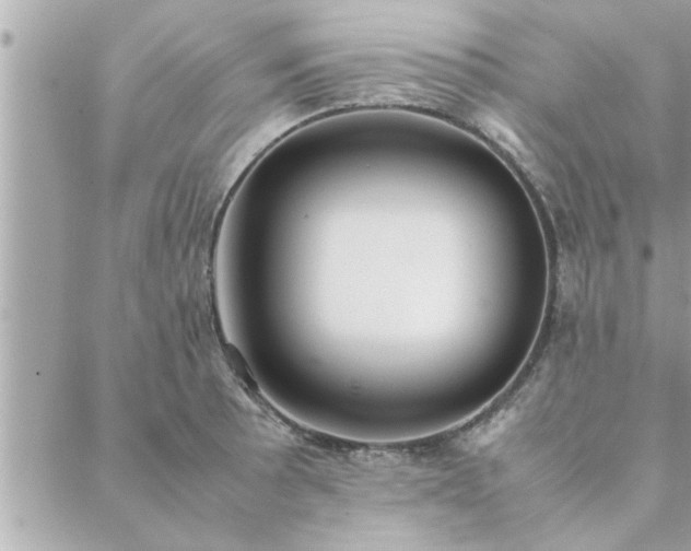 X0000088581089200706011107