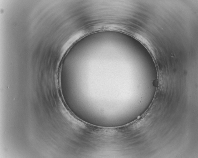 X0000088581090200706011106