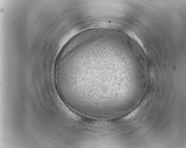 X0000088581091200706011106