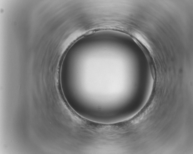 X0000088581093200706011106