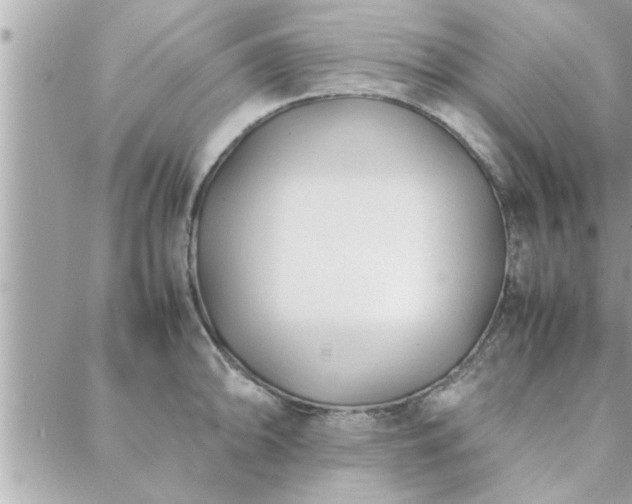 X0000088581094200706011106