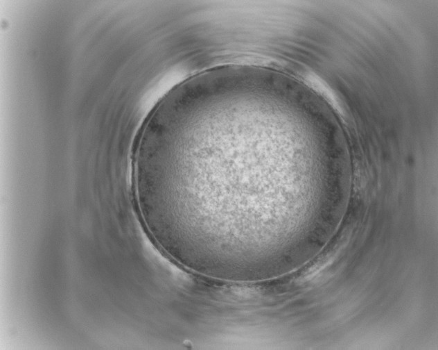 X0000088581095200706011106