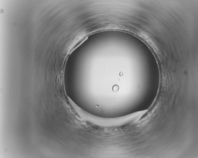 X0000088581097200706011106