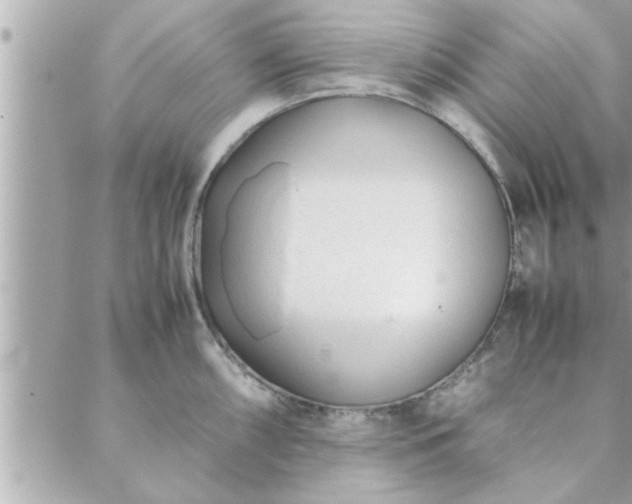 X0000088581098200706011106