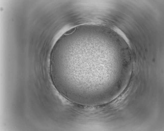 X0000088581099200706011106