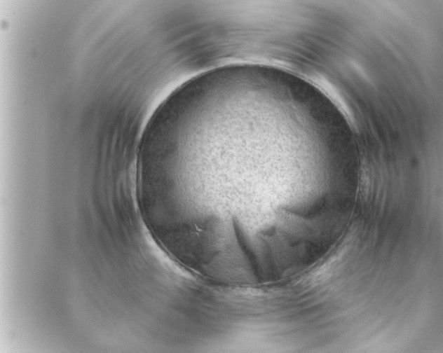 X0000088581100200706011106