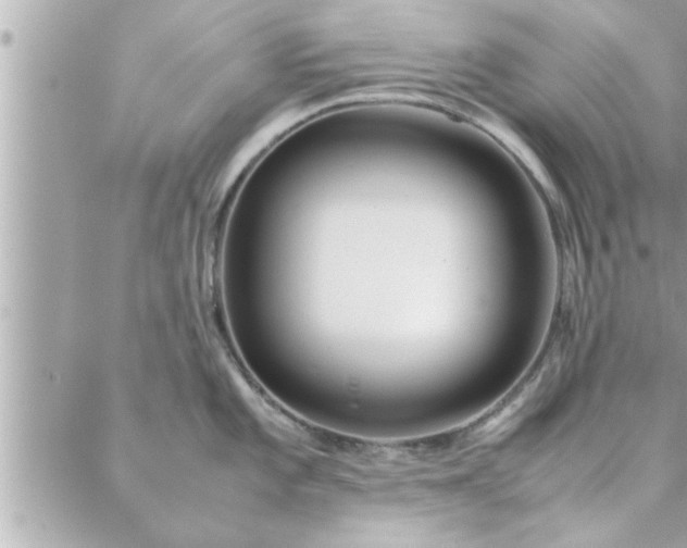 X0000088581101200706011106