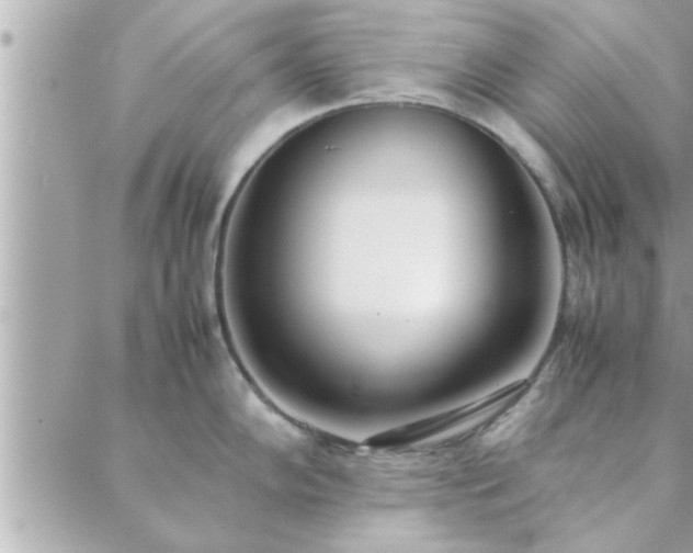 X0000088581102200706011106