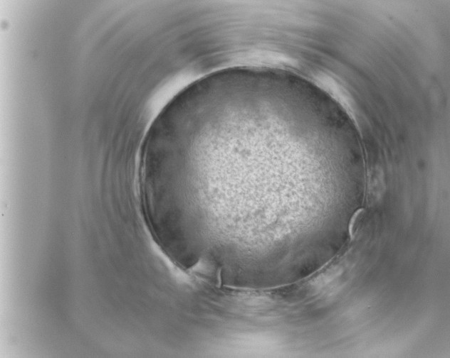 X0000088581103200706011106