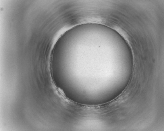 X0000088581104200706011106