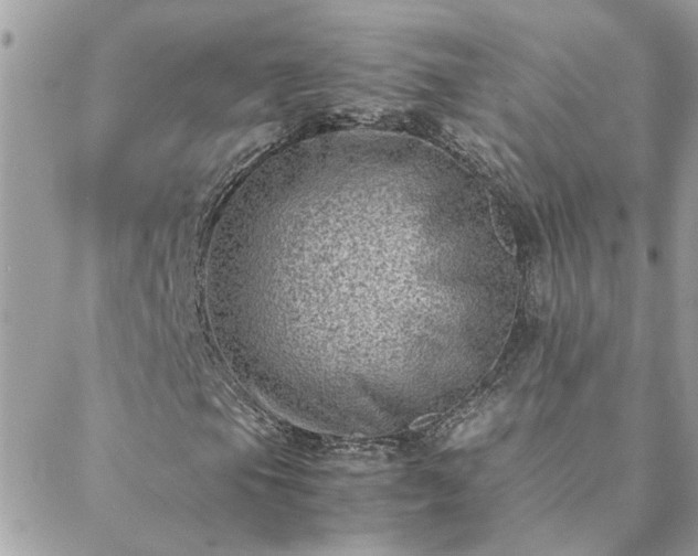 X0000088581105200706011105