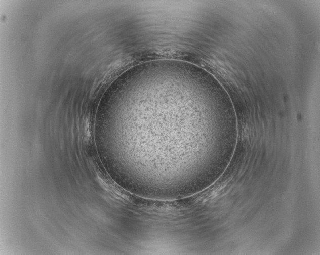 X0000088581106200706011106