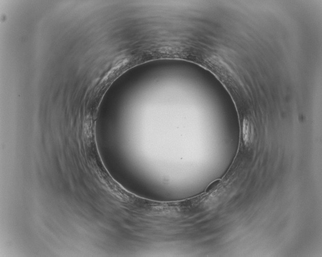 X0000088581107200706011106