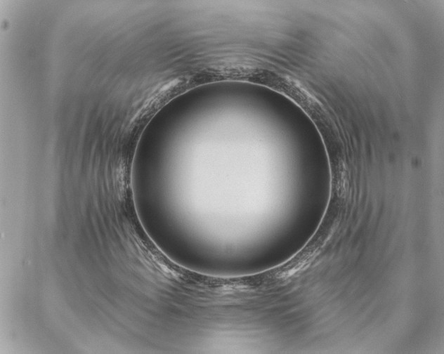 X0000088581108200706011106