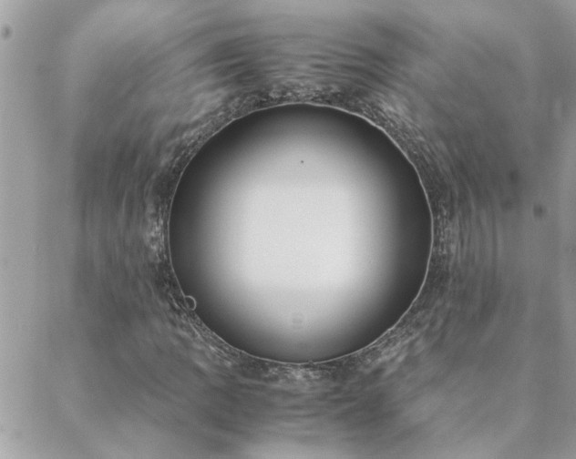 X0000088581109200706011106