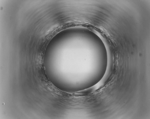 X0000088581110200706011106