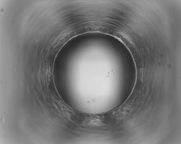 X0000088581111200706011106