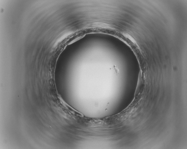 X0000088581112200706011106