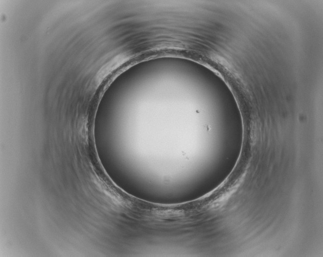 X0000088581113200706011106