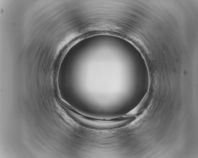 X0000088581114200706011106