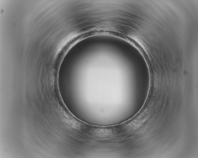 X0000088581115200706011106