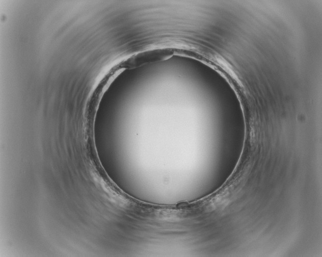 X0000088581116200706011106