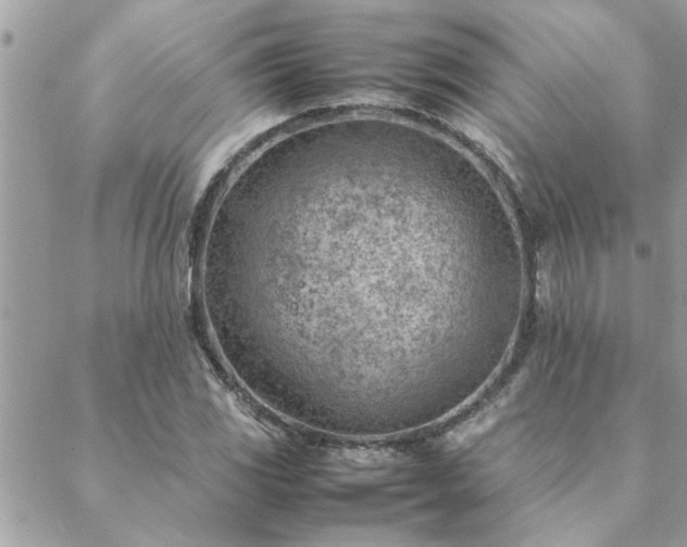 X0000088581117200706011106