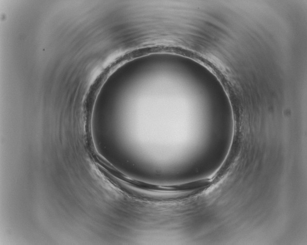 X0000088581118200706011106