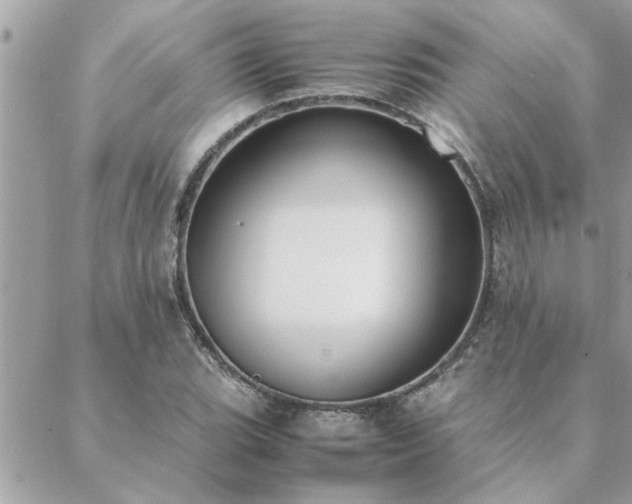 X0000088581119200706011106