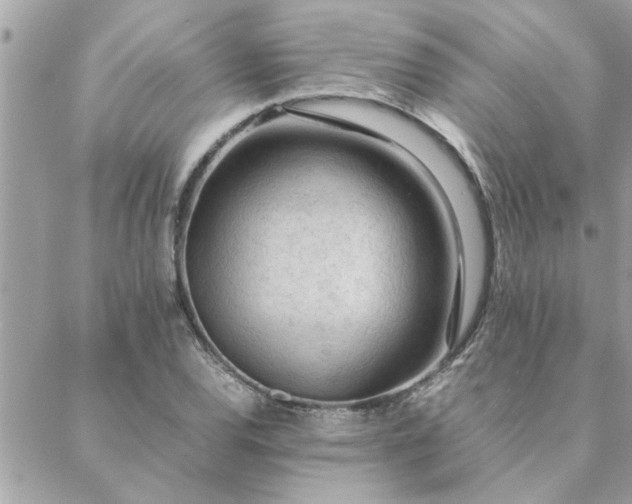 X0000088581120200706011106