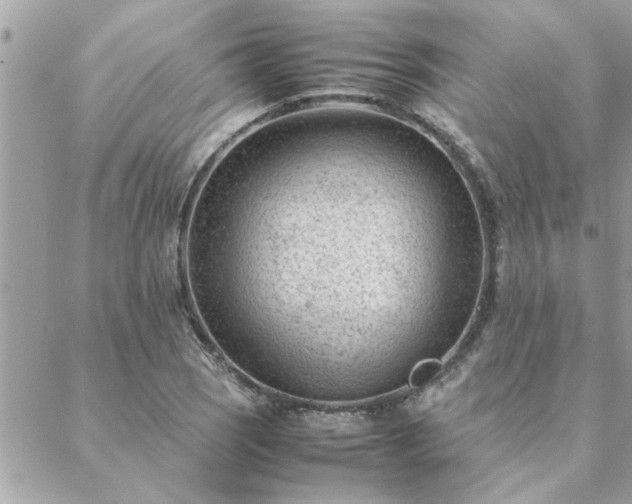 X0000088581121200706011106