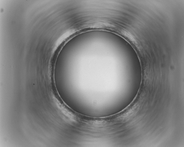 X0000088581122200706011106