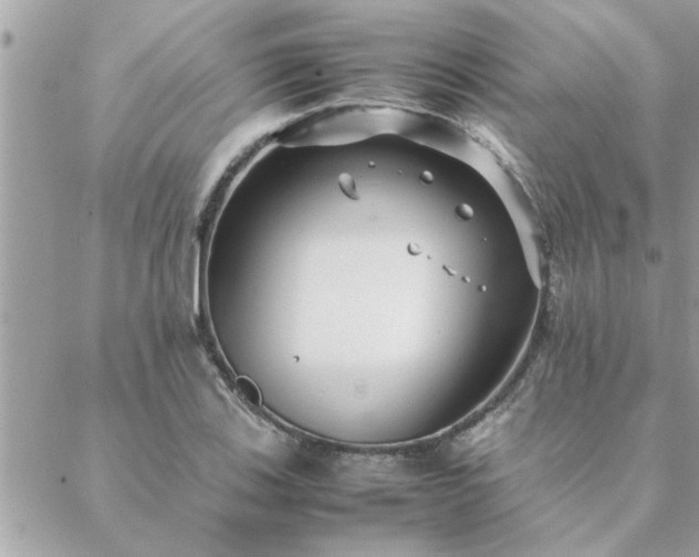 X0000088581123200706011106