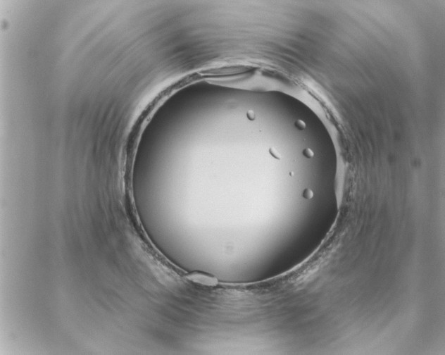 X0000088581124200706011106