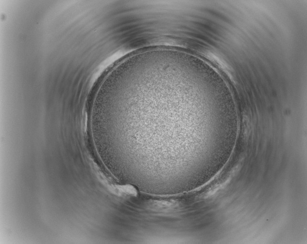 X0000088581125200706011106