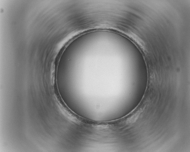 X0000088581126200706011106