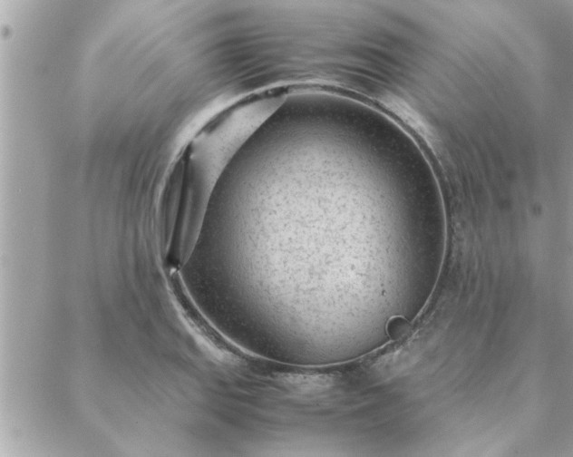 X0000088581127200706011106