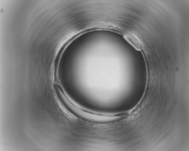 X0000088581128200706011106