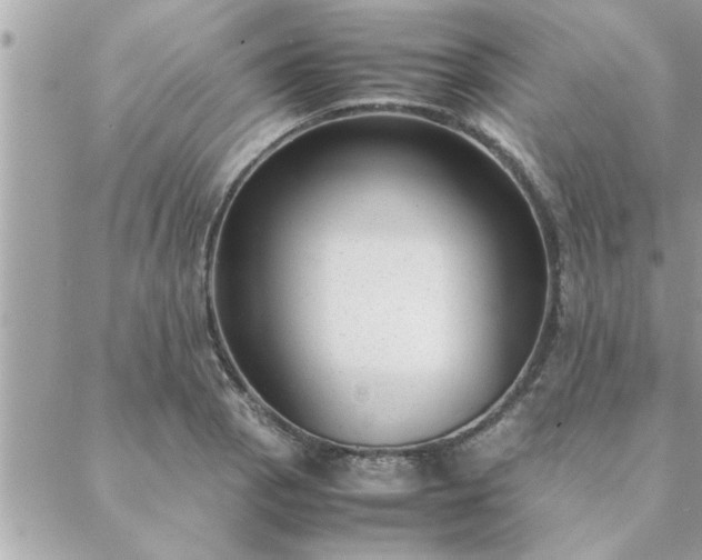 X0000088581129200706011106