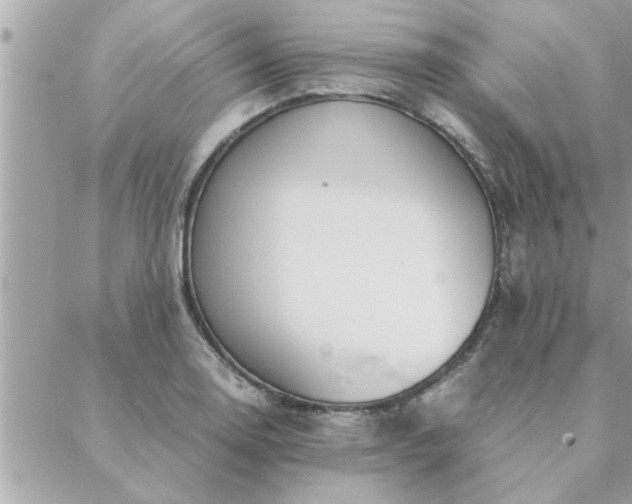 X0000088581130200706011106