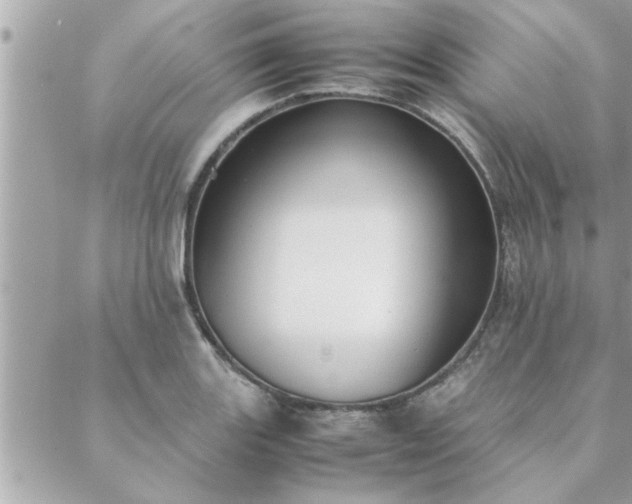 X0000088581131200706011106