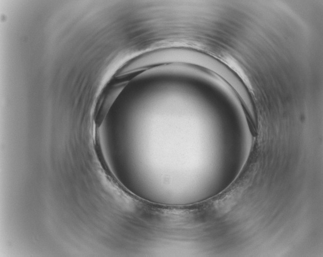 X0000088581132200706011106