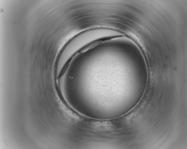 X0000088581133200706011106