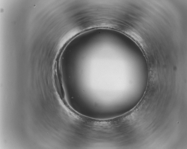 X0000088581135200706011106