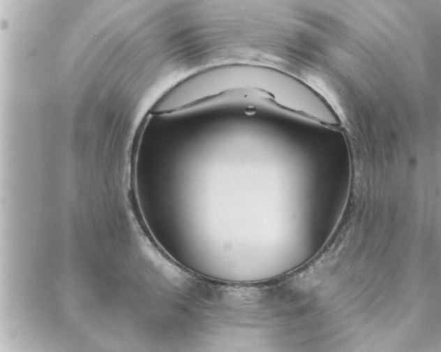 X0000088581136200706011106