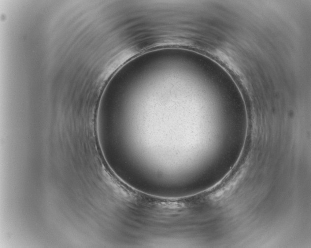 X0000088581137200706011106