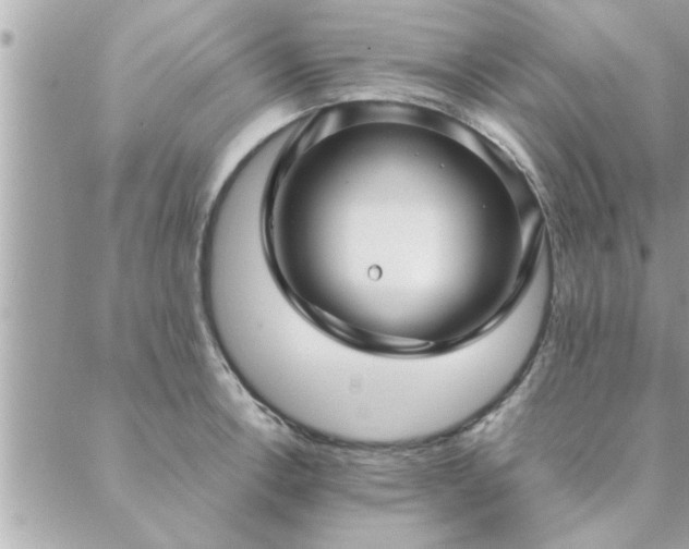 X0000088581138200706011106